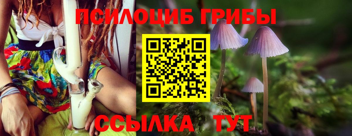 Псилоцибиновые грибы прущие грибы Верхний Уфалей
